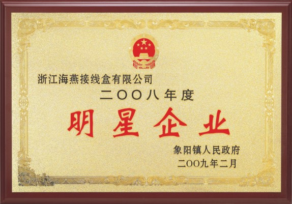 2008年度明星企業(yè)